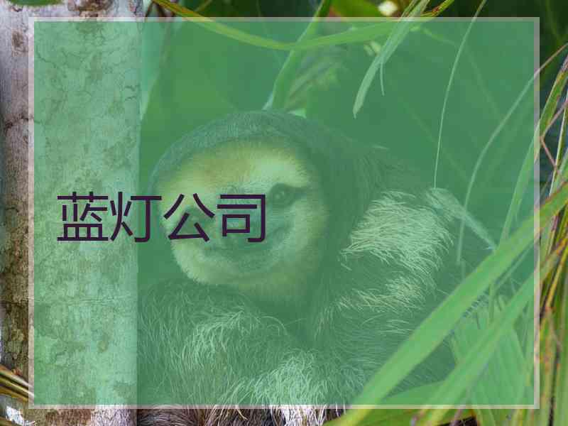 蓝灯公司