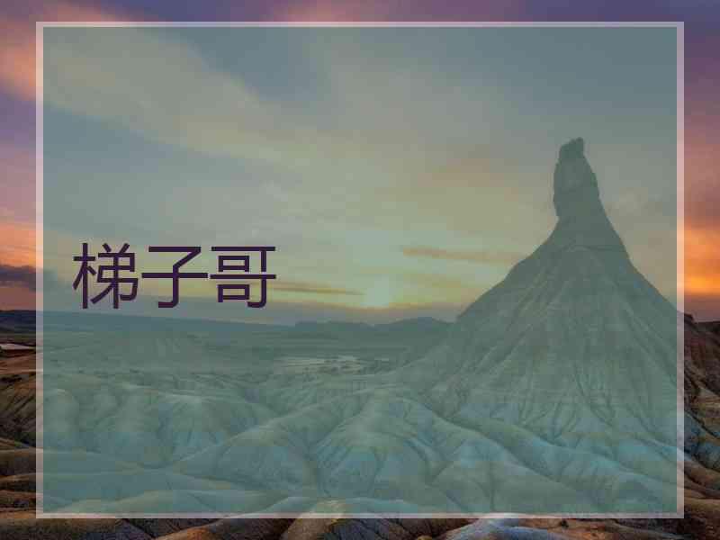 梯子哥