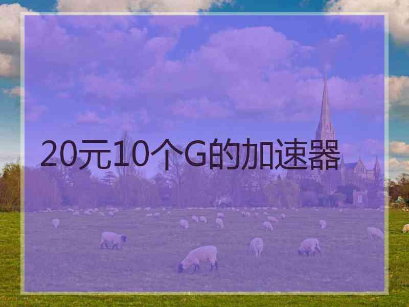 20元10个G的加速器
