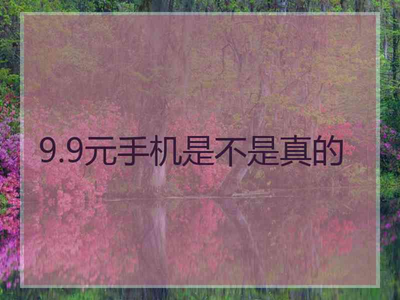 9.9元手机是不是真的