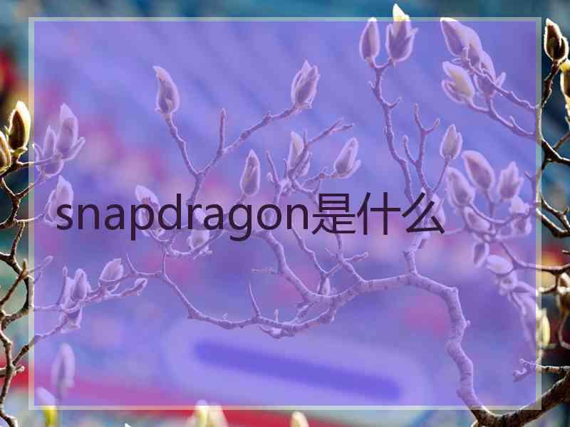 snapdragon是什么