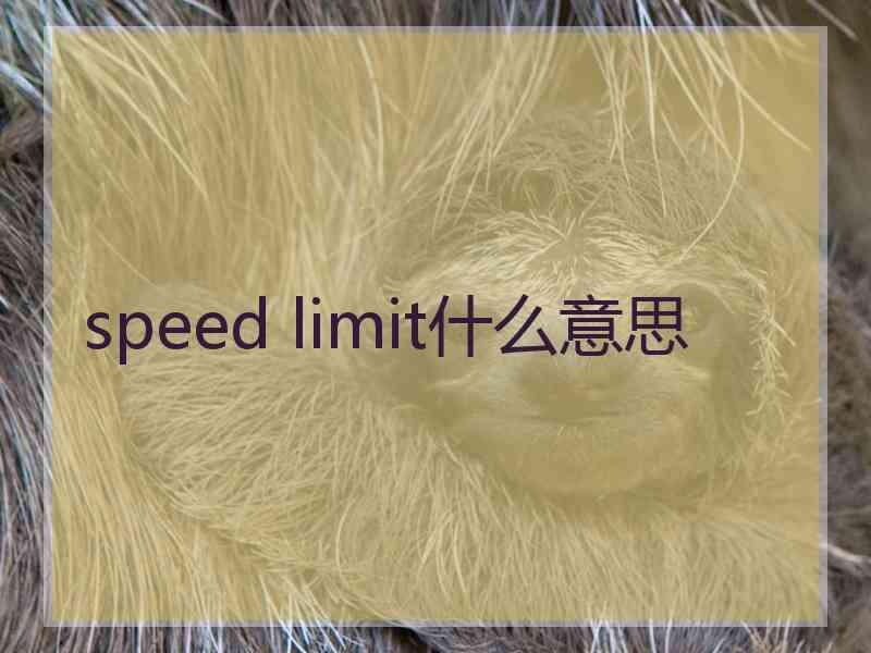 speed limit什么意思