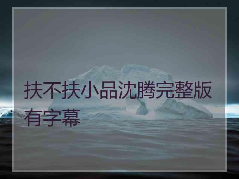 扶不扶小品沈腾完整版有字幕