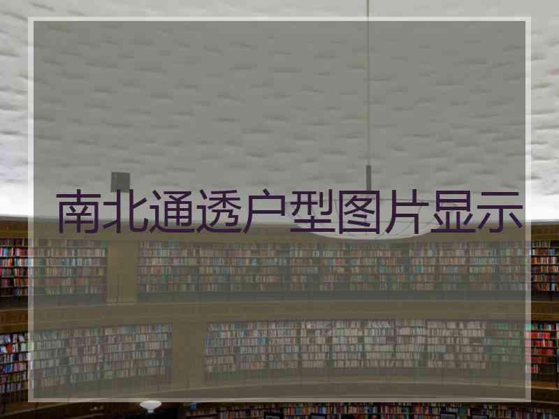 南北通透户型图片显示