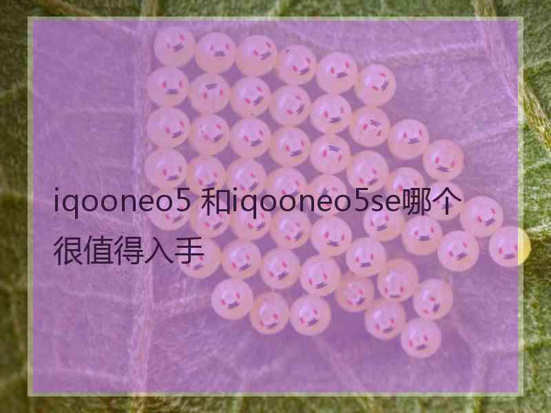 iqooneo5 和iqooneo5se哪个很值得入手