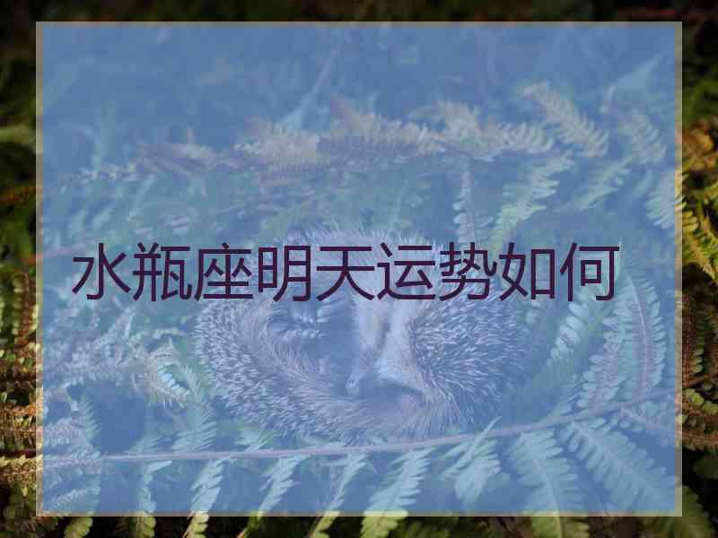 水瓶座明天运势如何