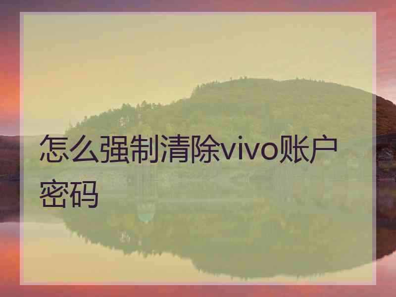 怎么强制清除vivo账户密码