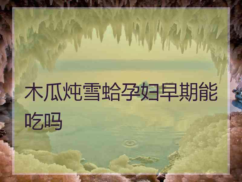 木瓜炖雪蛤孕妇早期能吃吗