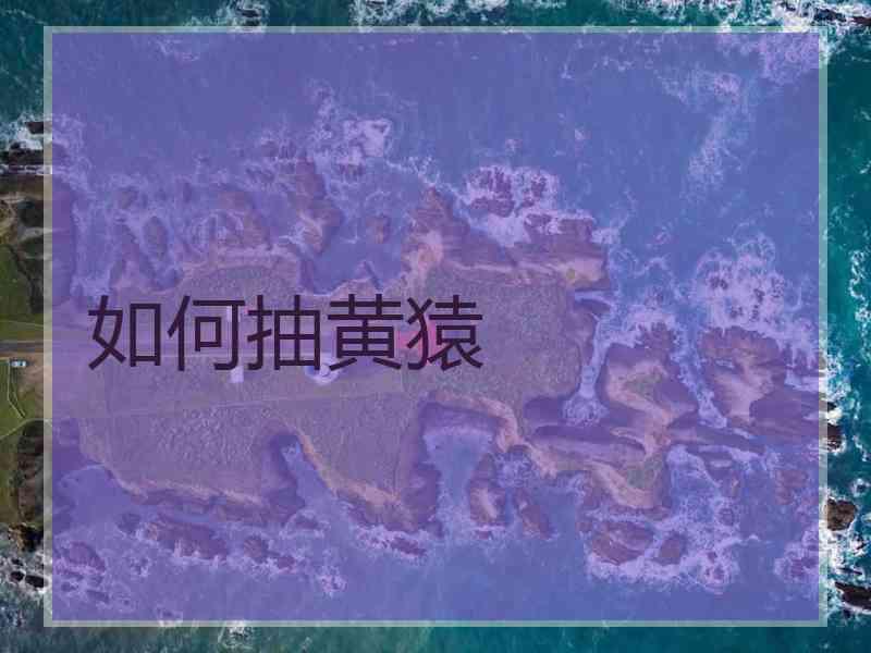 如何抽黄猿