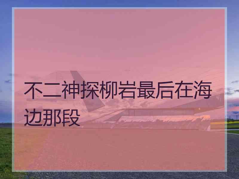 不二神探柳岩最后在海边那段