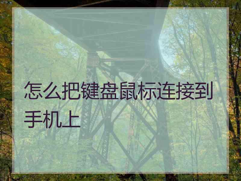 怎么把键盘鼠标连接到手机上