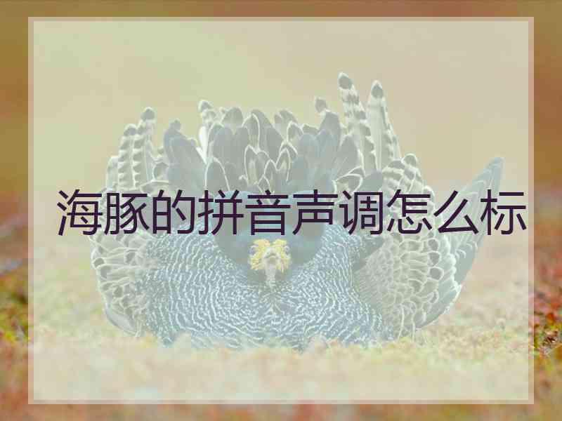 海豚的拼音声调怎么标