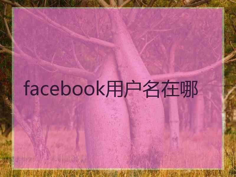 facebook用户名在哪