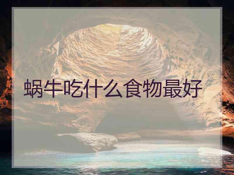 蜗牛吃什么食物最好