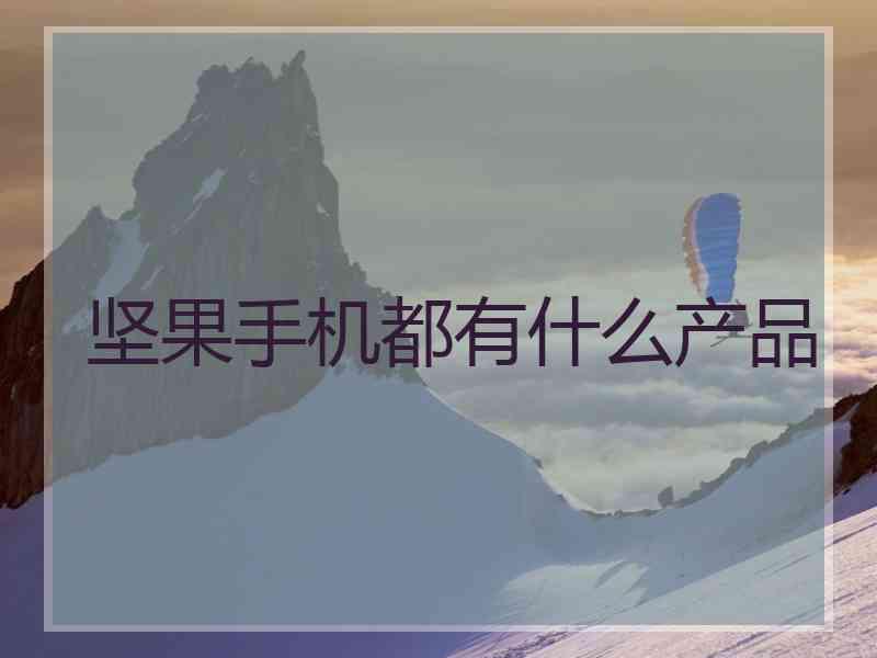 坚果手机都有什么产品