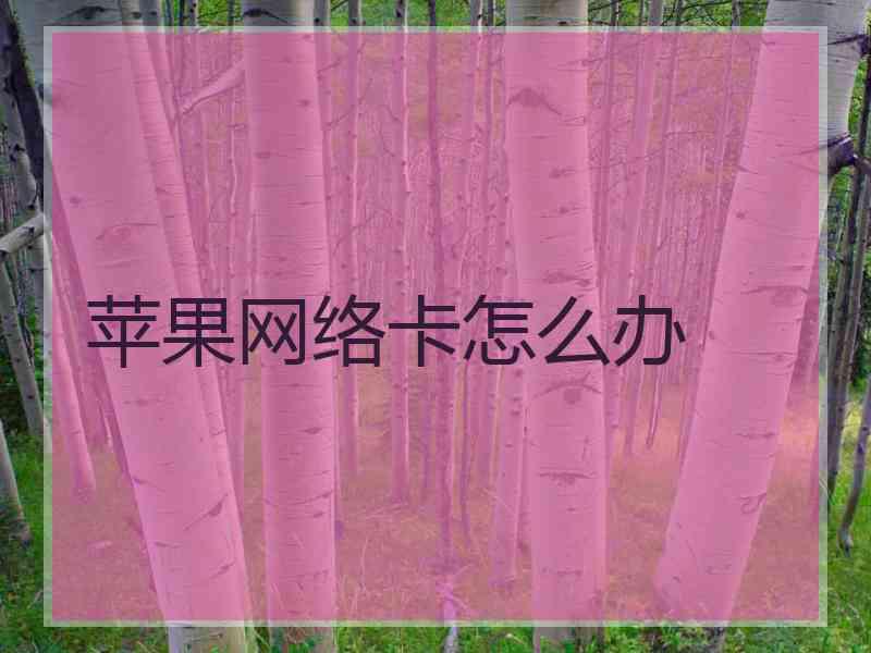 苹果网络卡怎么办