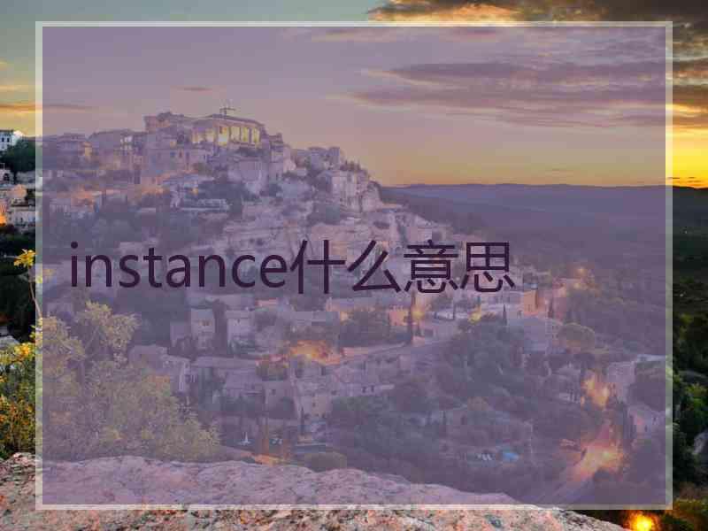 instance什么意思