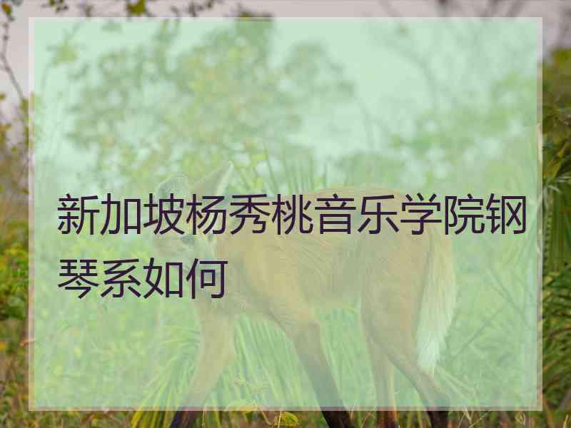 新加坡杨秀桃音乐学院钢琴系如何