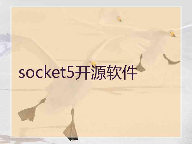 socket5开源软件