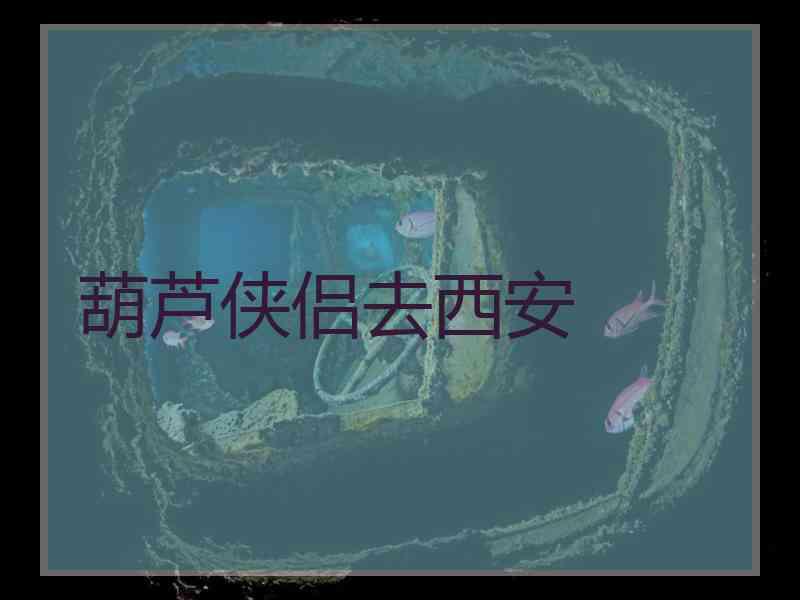 葫芦侠侣去西安