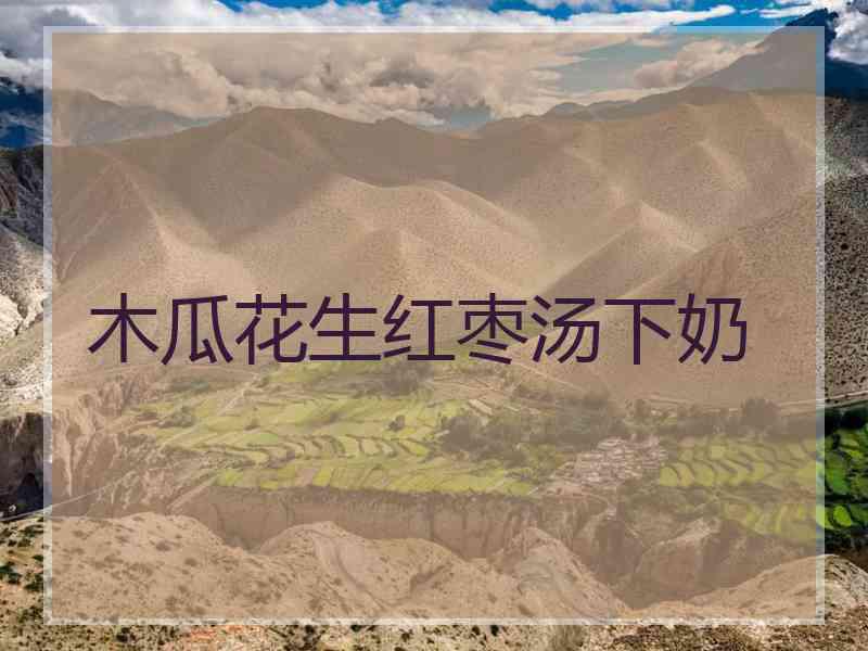 木瓜花生红枣汤下奶