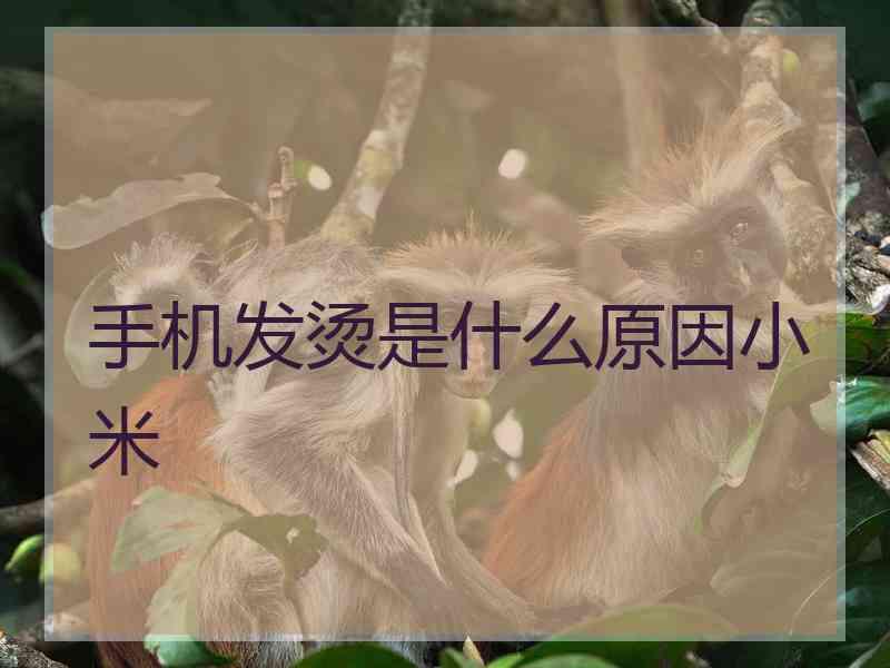 手机发烫是什么原因小米