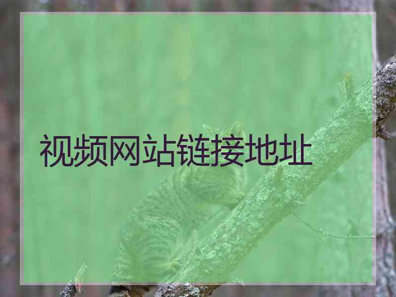 视频网站链接地址