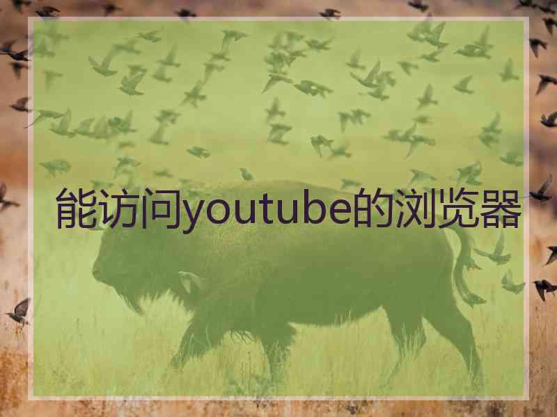 能访问youtube的浏览器
