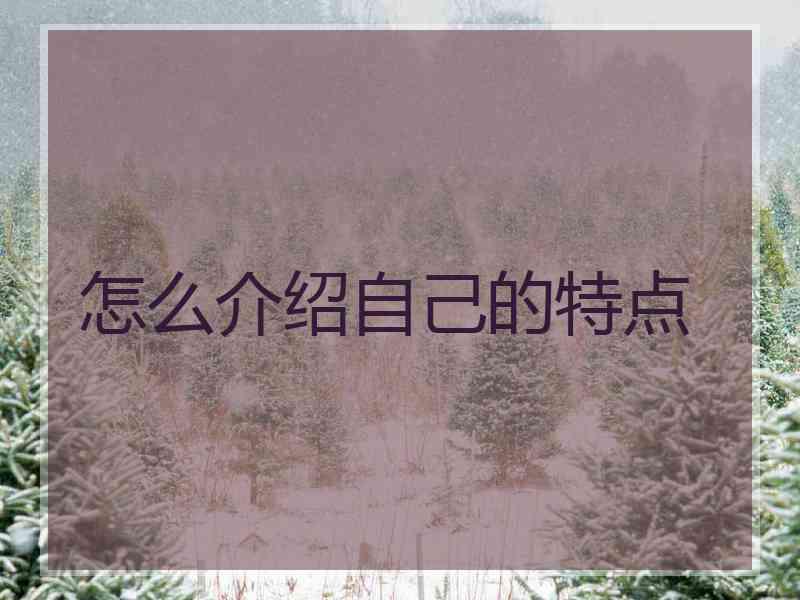 怎么介绍自己的特点
