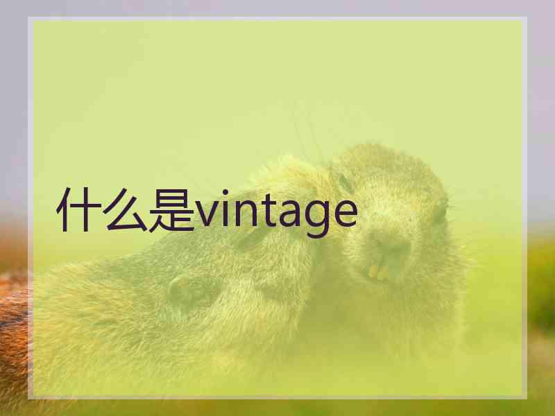 什么是vintage