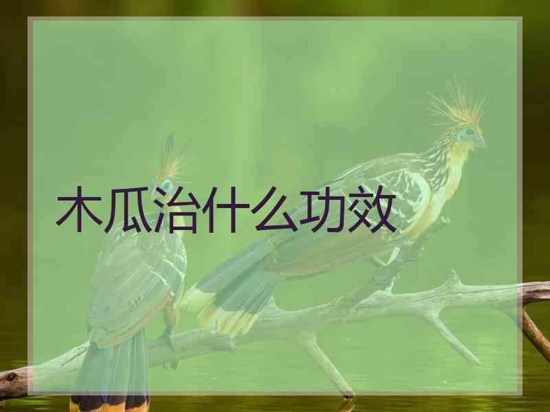 木瓜治什么功效