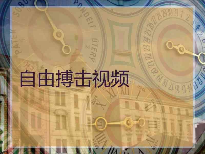 自由搏击视频