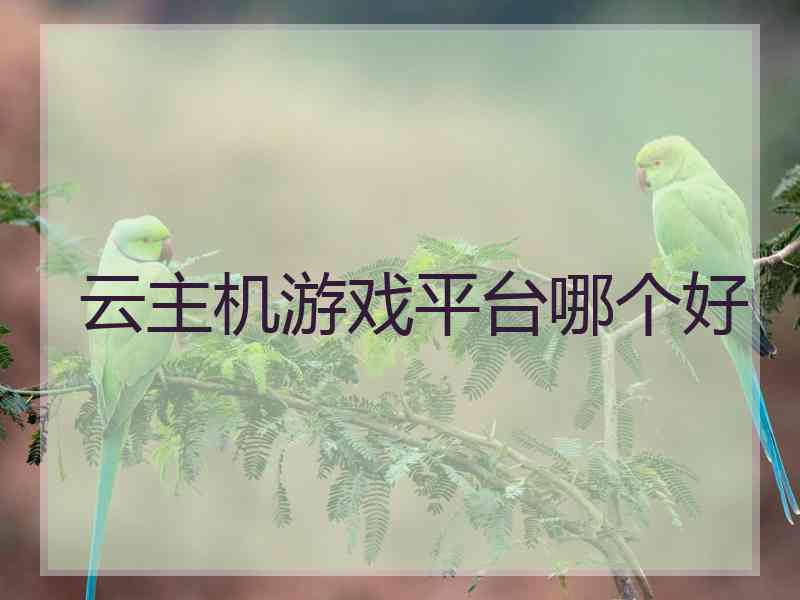 云主机游戏平台哪个好