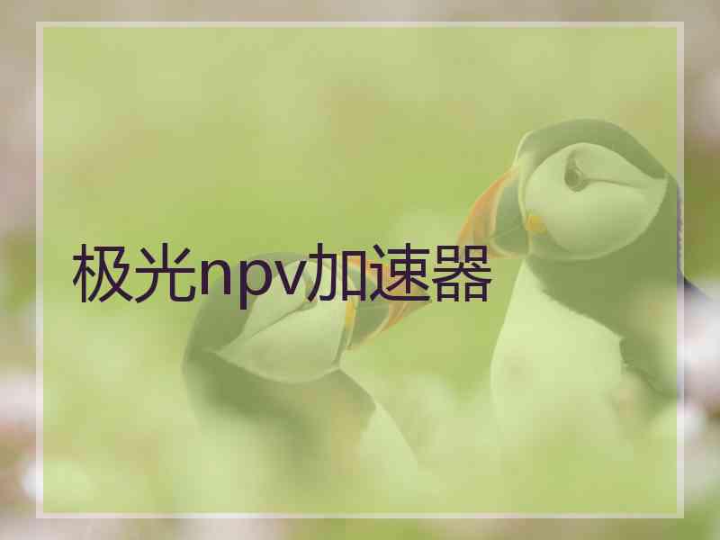极光npv加速器