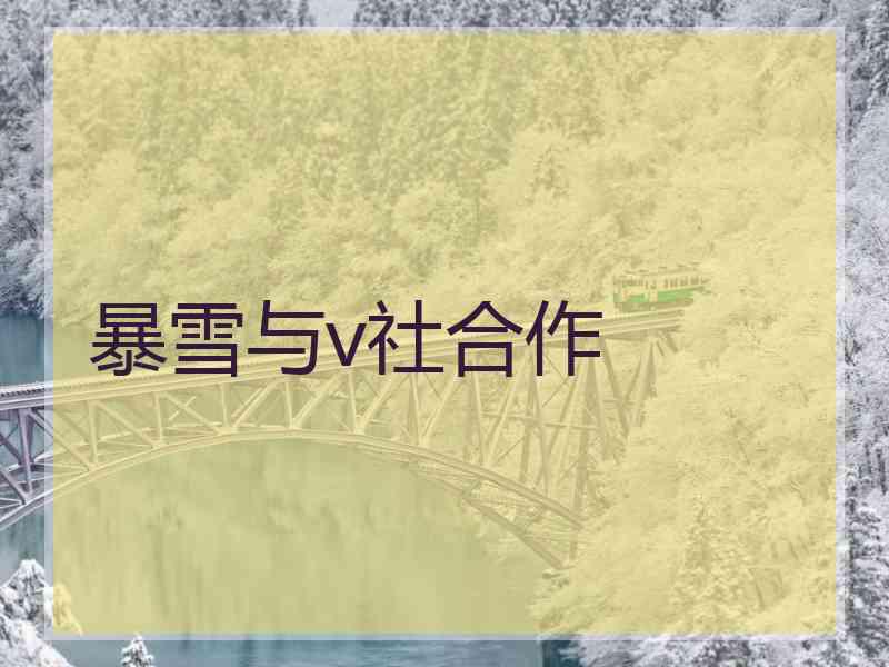暴雪与v社合作