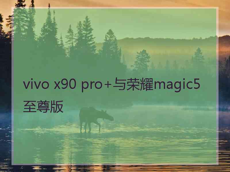 vivo x90 pro+与荣耀magic5至尊版