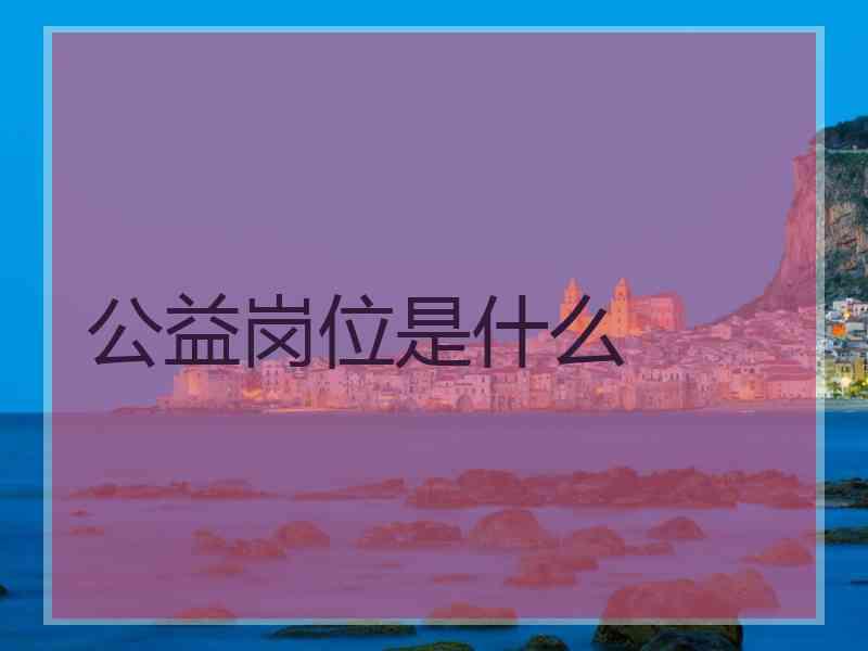 公益岗位是什么