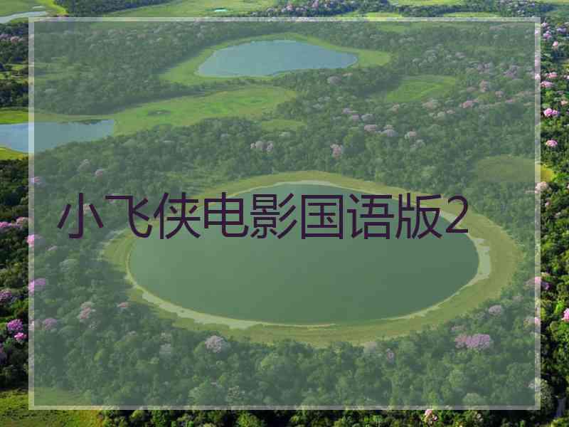 小飞侠电影国语版2