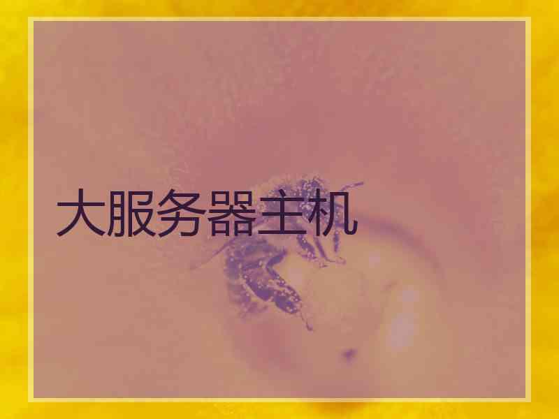 大服务器主机