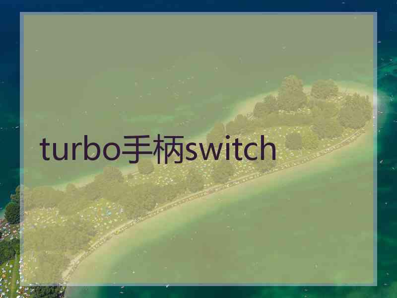turbo手柄switch
