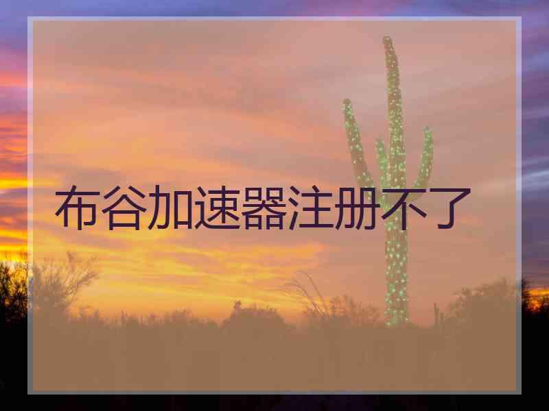 布谷加速器注册不了