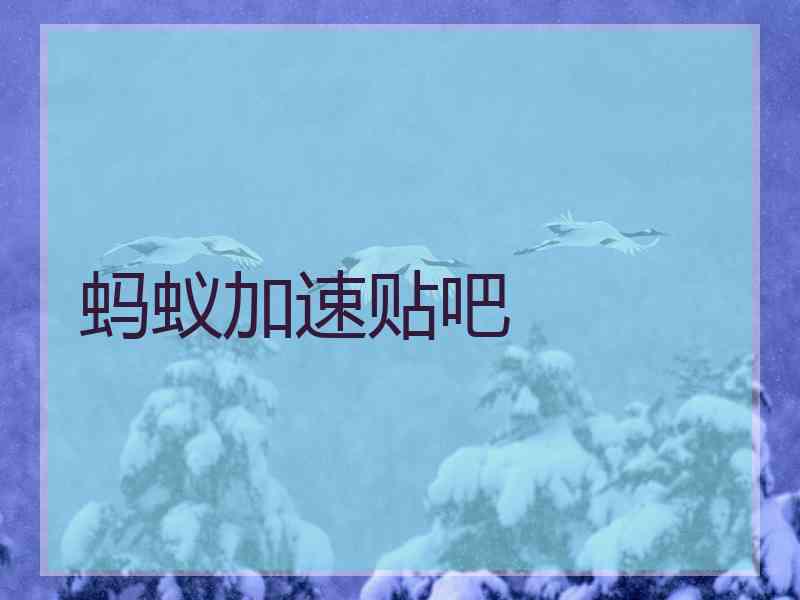 蚂蚁加速贴吧