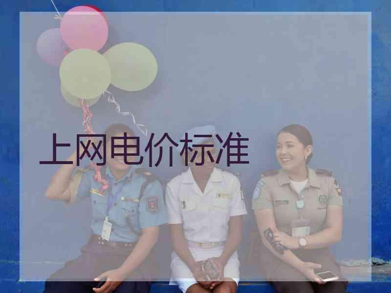 上网电价标准