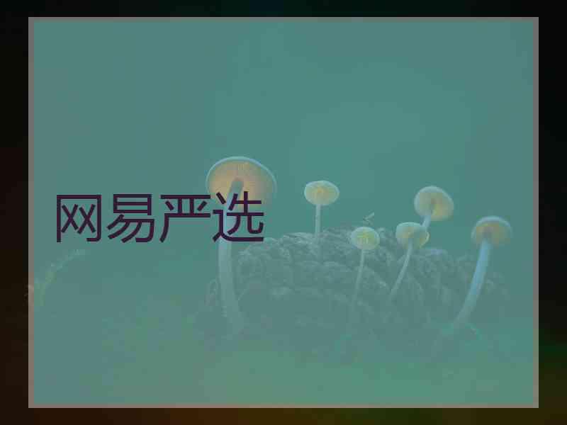 网易严选