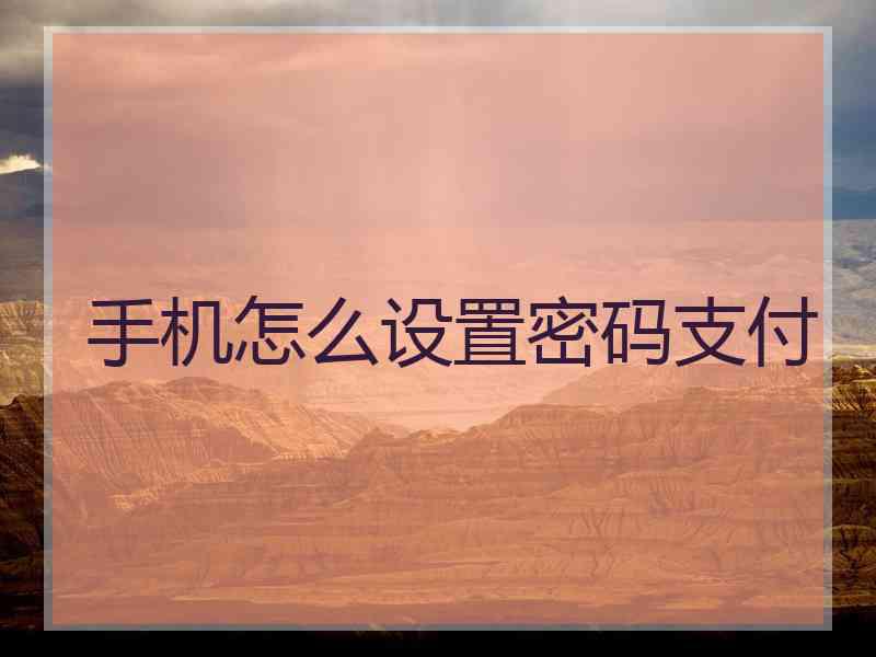 手机怎么设置密码支付