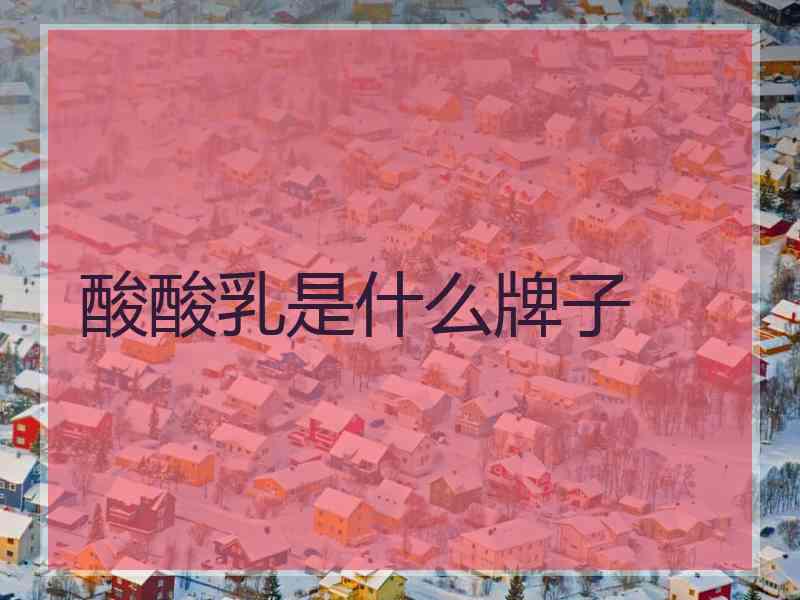 酸酸乳是什么牌子